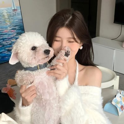 新恋爱经在线观看